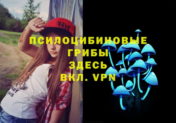 дмт Алексеевка