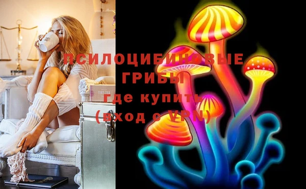 дмт Алексеевка